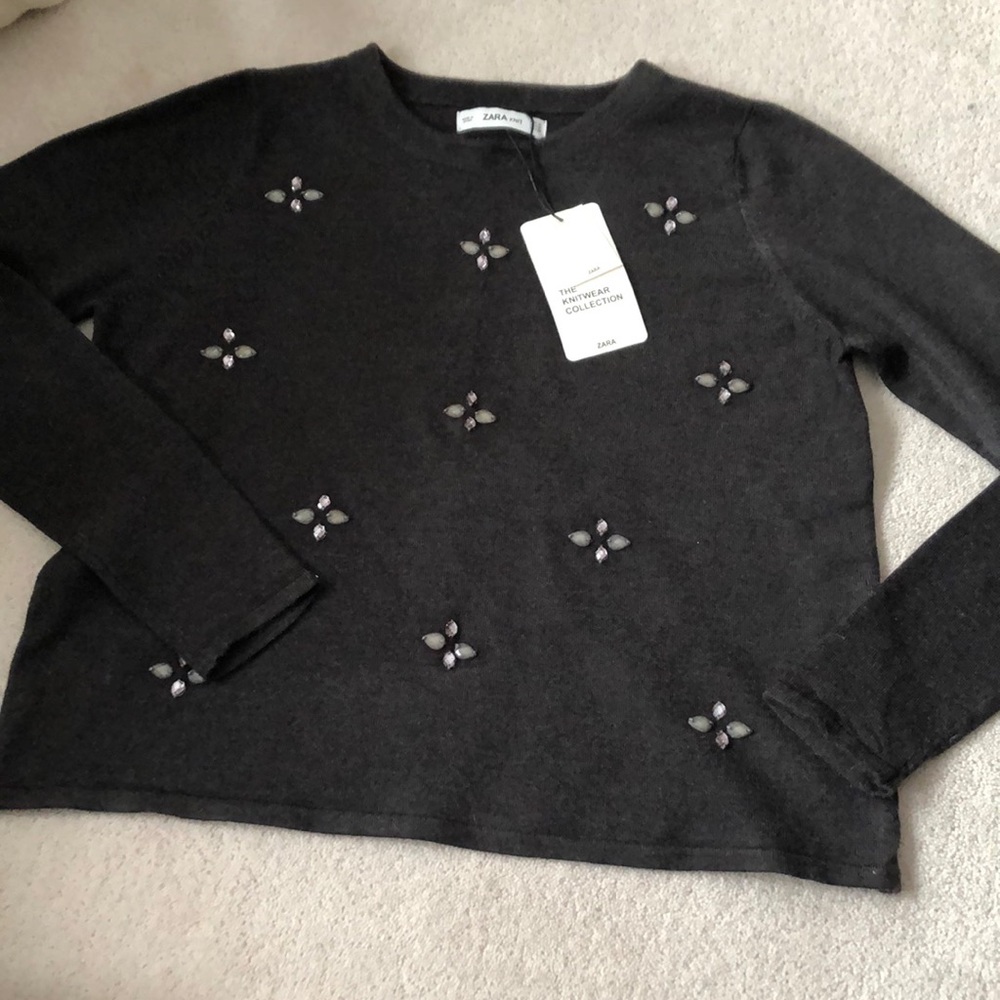 Zara embellished sweater!